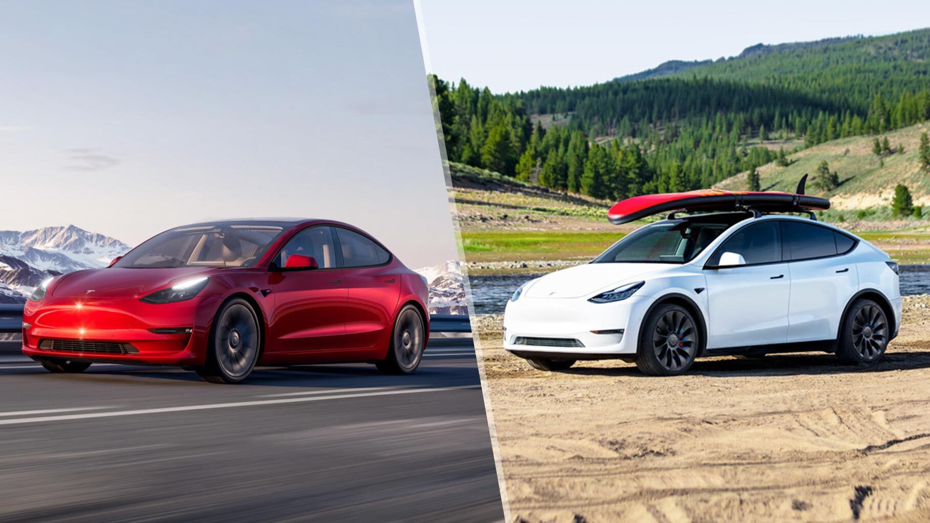 Differences between Tesla Model Y and Tesla Model 3